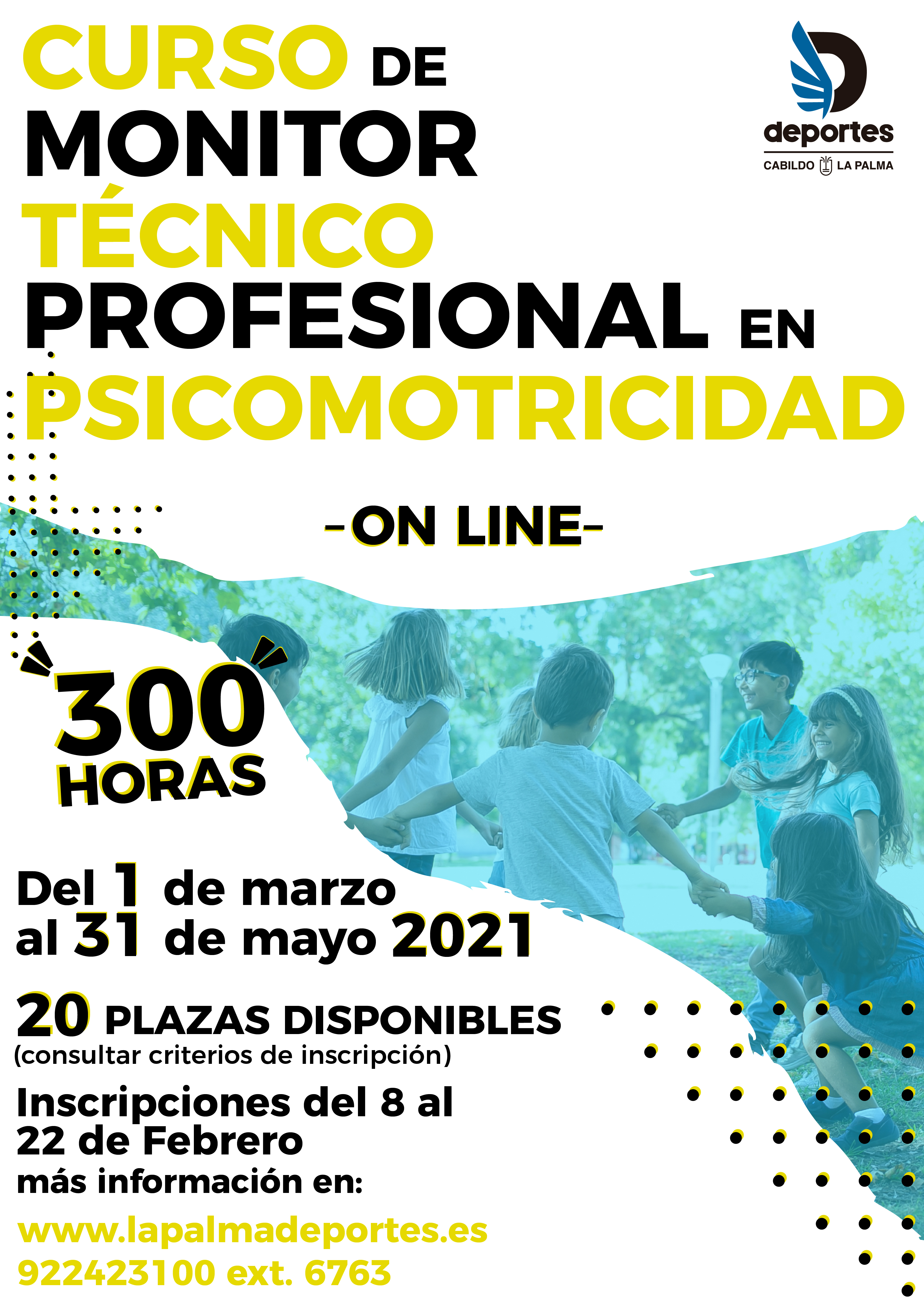 Curso monitores psicomotricidad