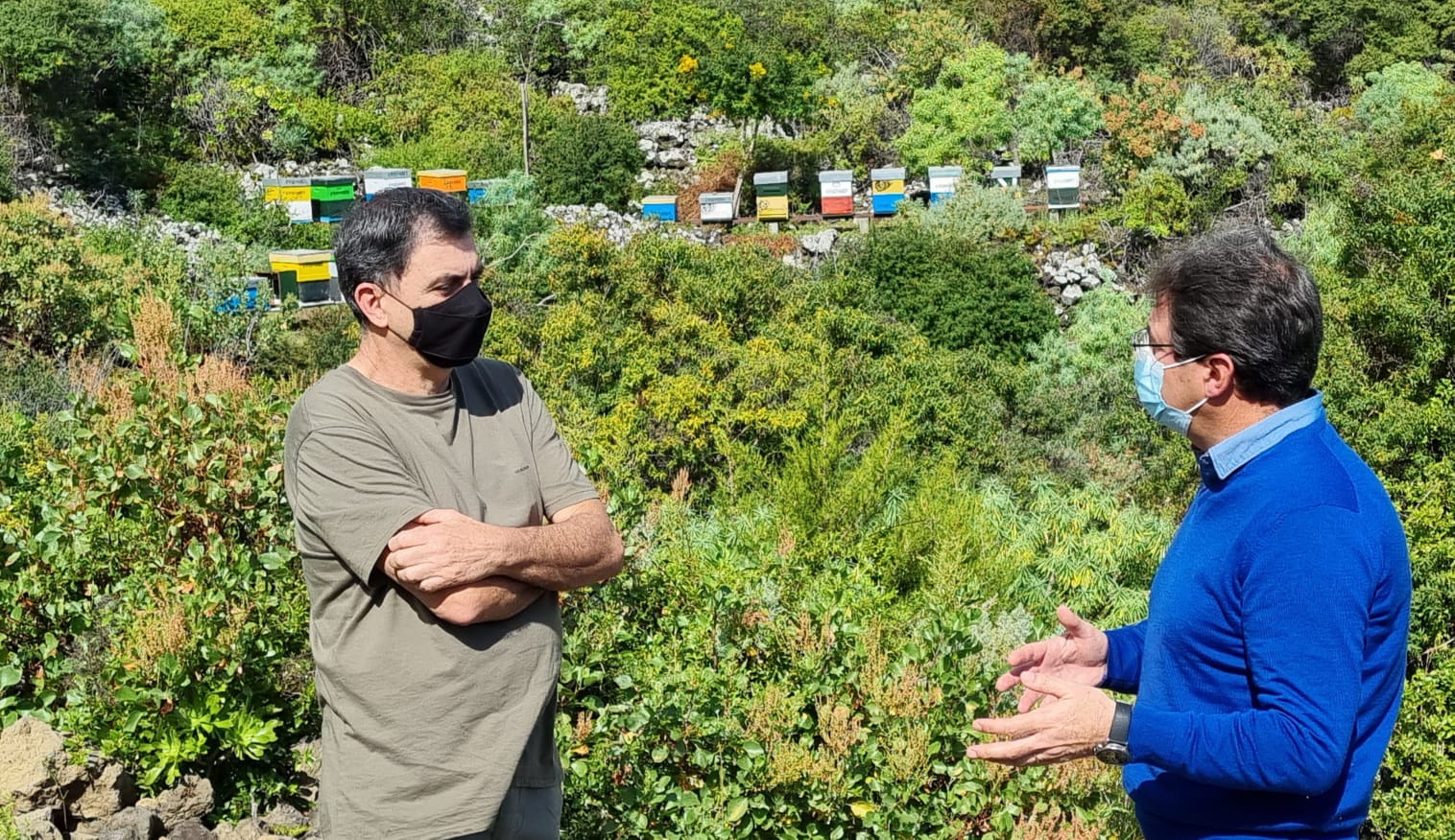 José Adrián Hernández apuesta por generar sinergias entre los apicultores y agricultores de La Palma