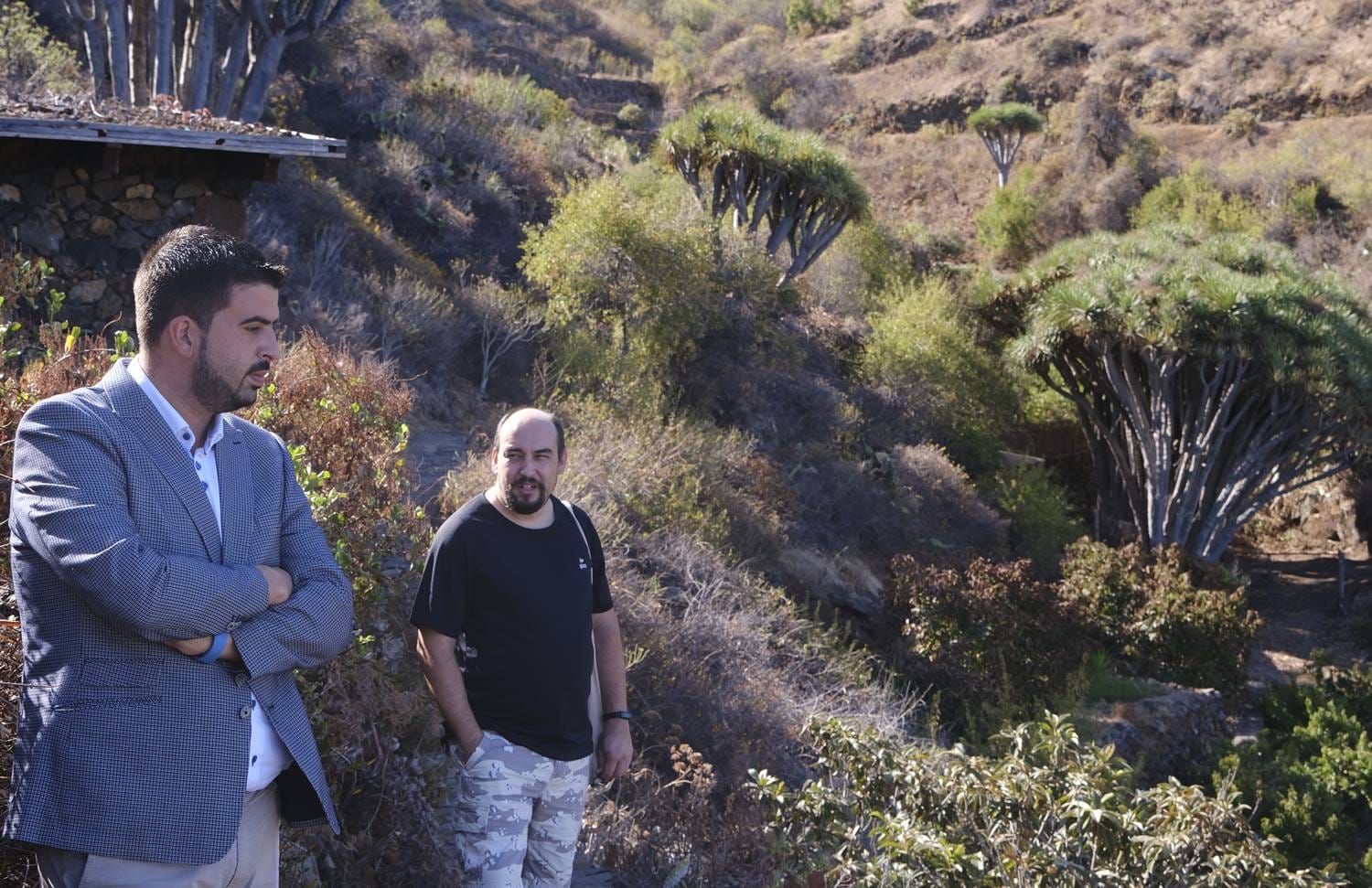 El Cabildo de La Palma lleva la electricidad a la población de Buracas