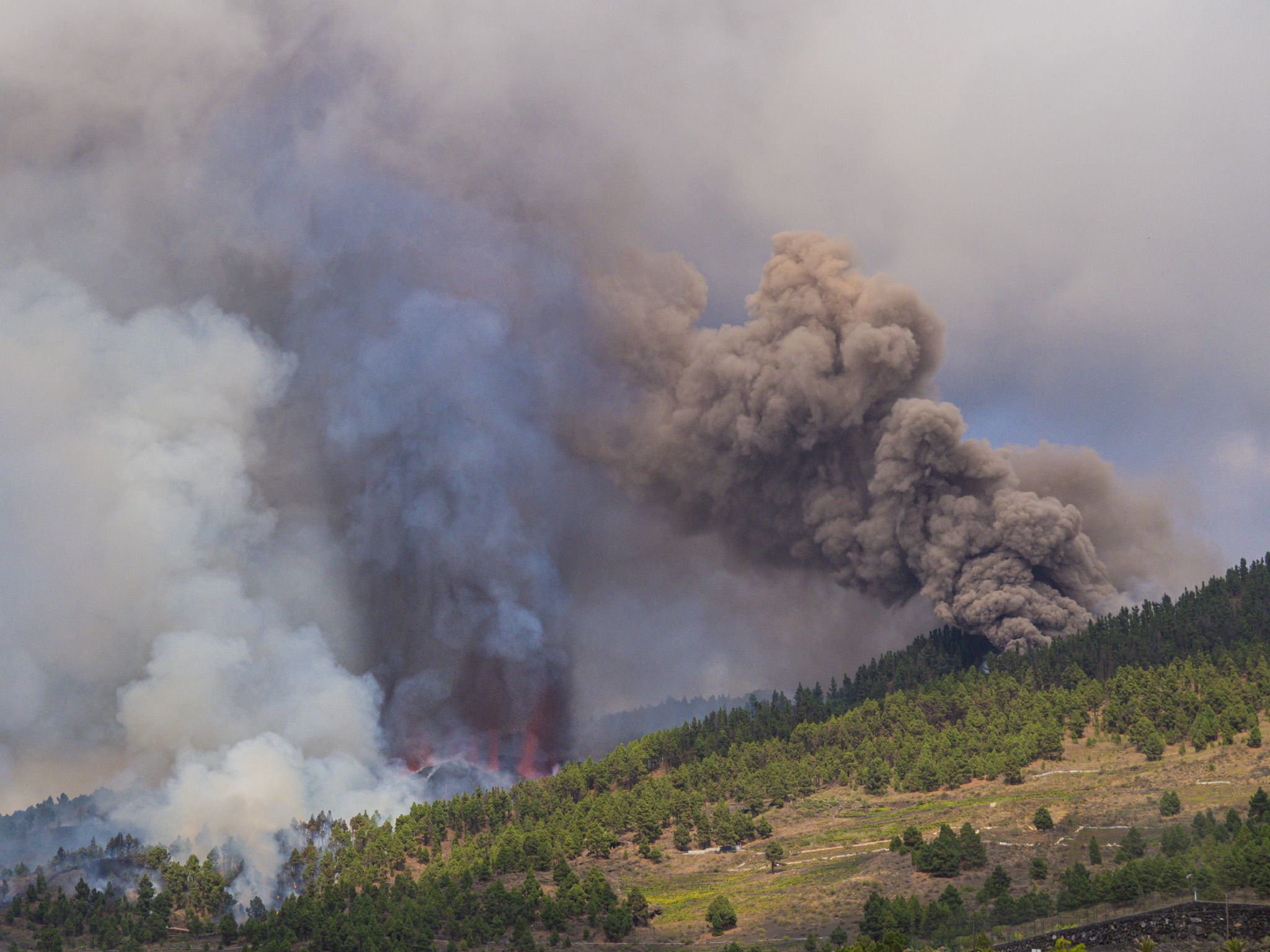 Fotografía de Álvaro Armas