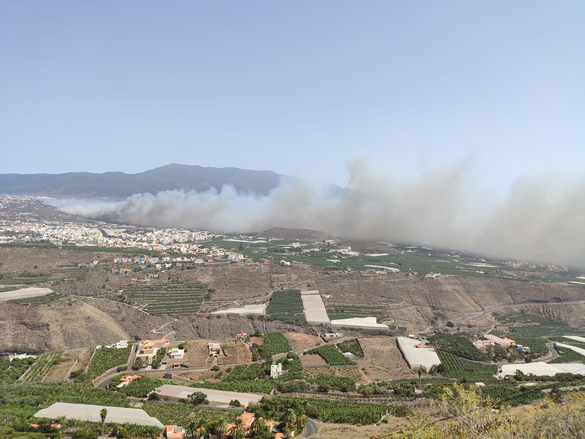 El Cabildo aprueba 415.000 euros en ayudas directas para los afectados por el último incendio de El Paso y Los Llanos de Aridane