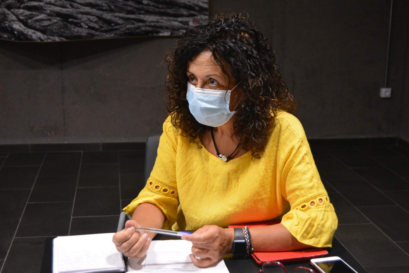 El Cabildo de La Palma da luz verde al convenio con Involcán