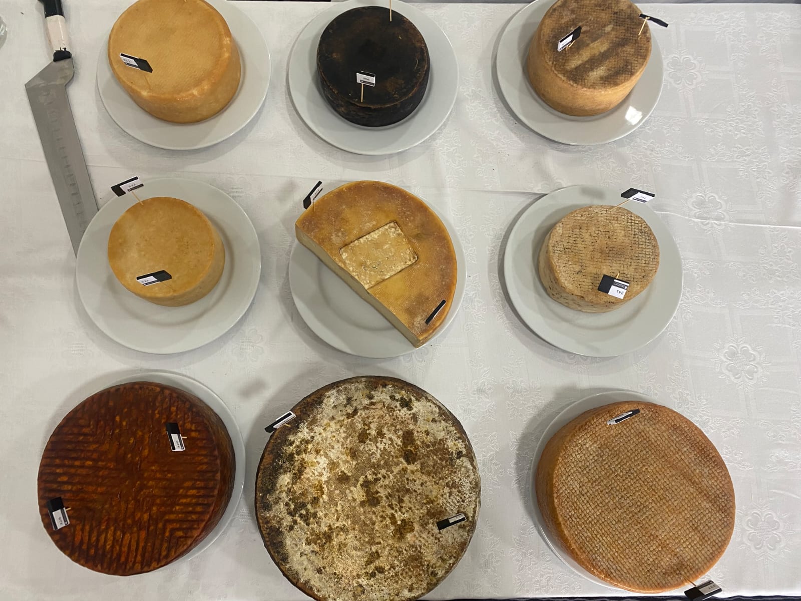 El Cabildo celebra el éxito de los quesos palmeros en el Concurso Agrocanarias 2022 