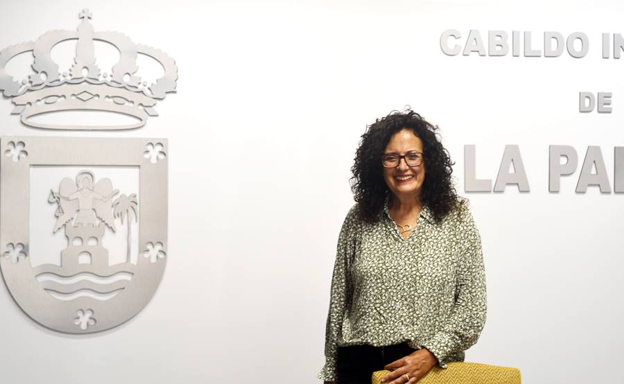 El Cabildo organiza unas jornadas de buenas prácticas para el personal de los ayuntamientos de La Palma 