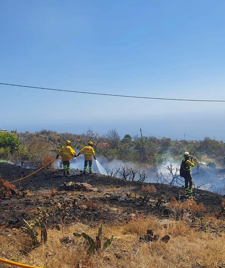 Medio Ambiente destaca la mejora del dispositivo y las labores de prevención de la campaña contra incendios 