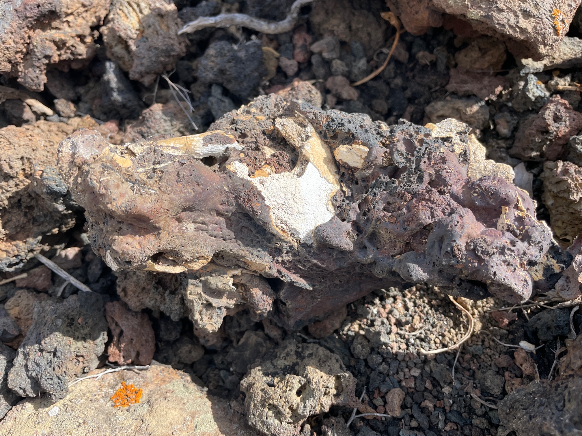 El Cabildo participa en la investigación de los bloques de lava con restos humanos en la necrópolis de La Cucaracha