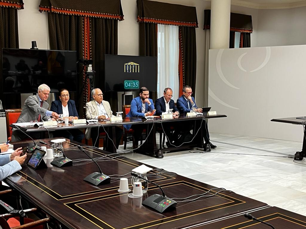 La Comisión de Cabildos respalda el proceso de reconstrucción territorial y social de La Palma