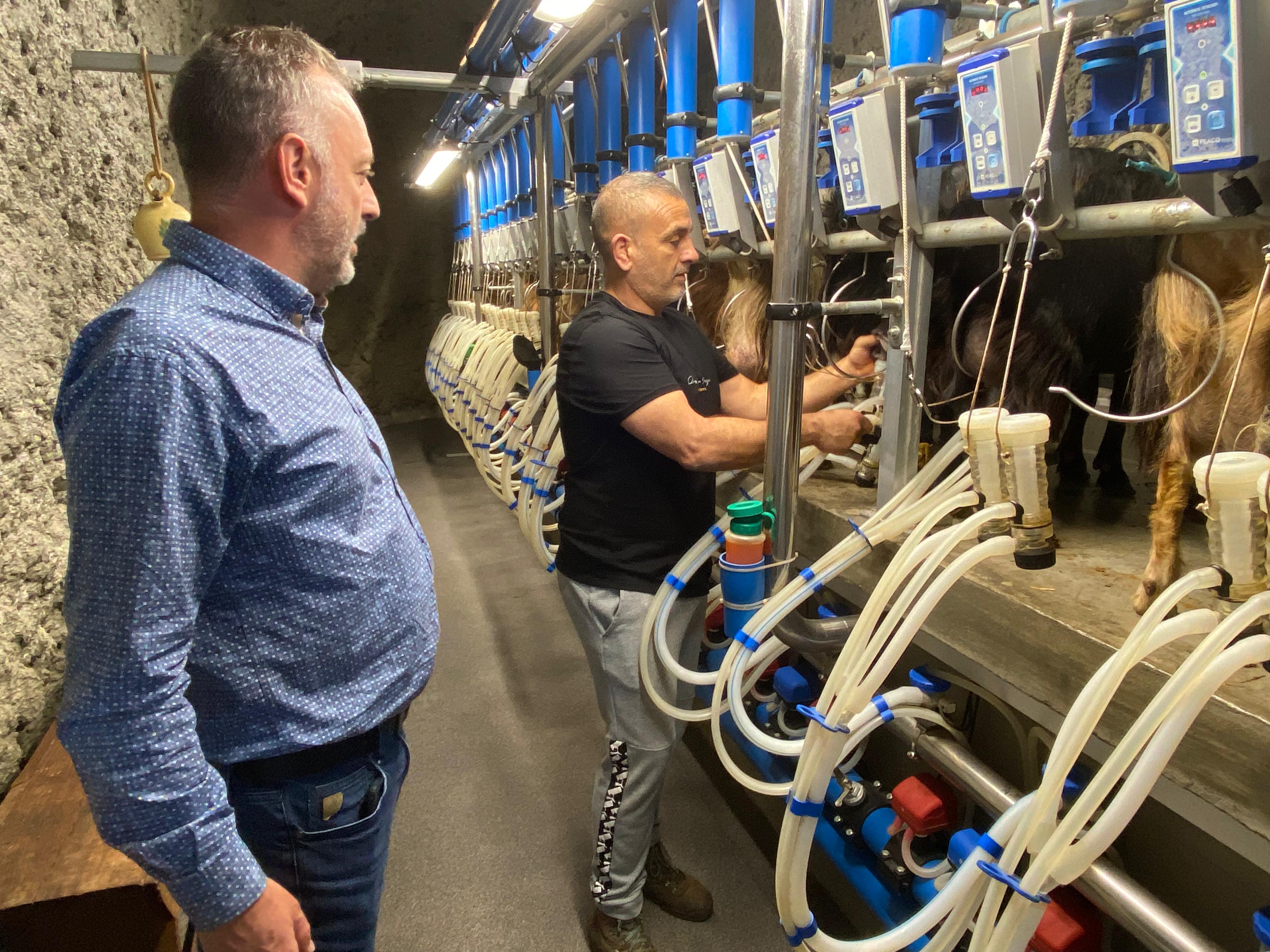 El Cabildo apuesta por el fomento de la soberanía alimentaria y las razas palmeras 