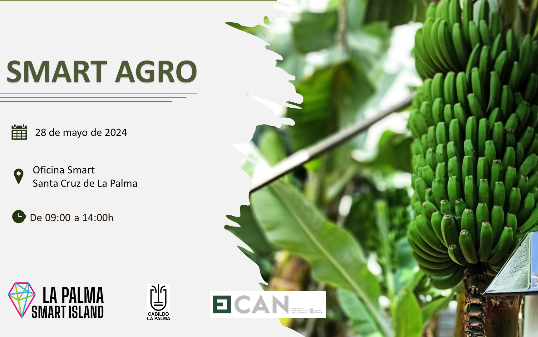 El Cabildo impulsa una formación en prácticas innovadoras y sostenibles para el campo de la Isla