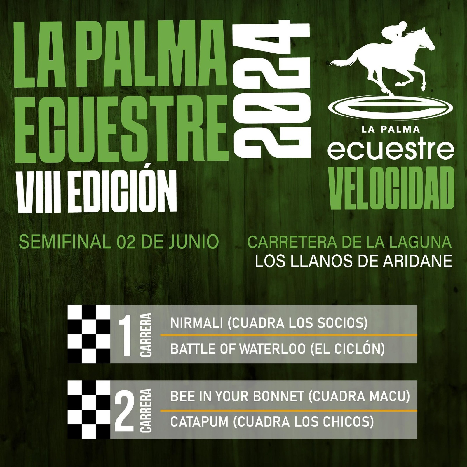 El Cabildo ultima los detalles de las semifinales de la VIII edición de La Palma Ecuestre