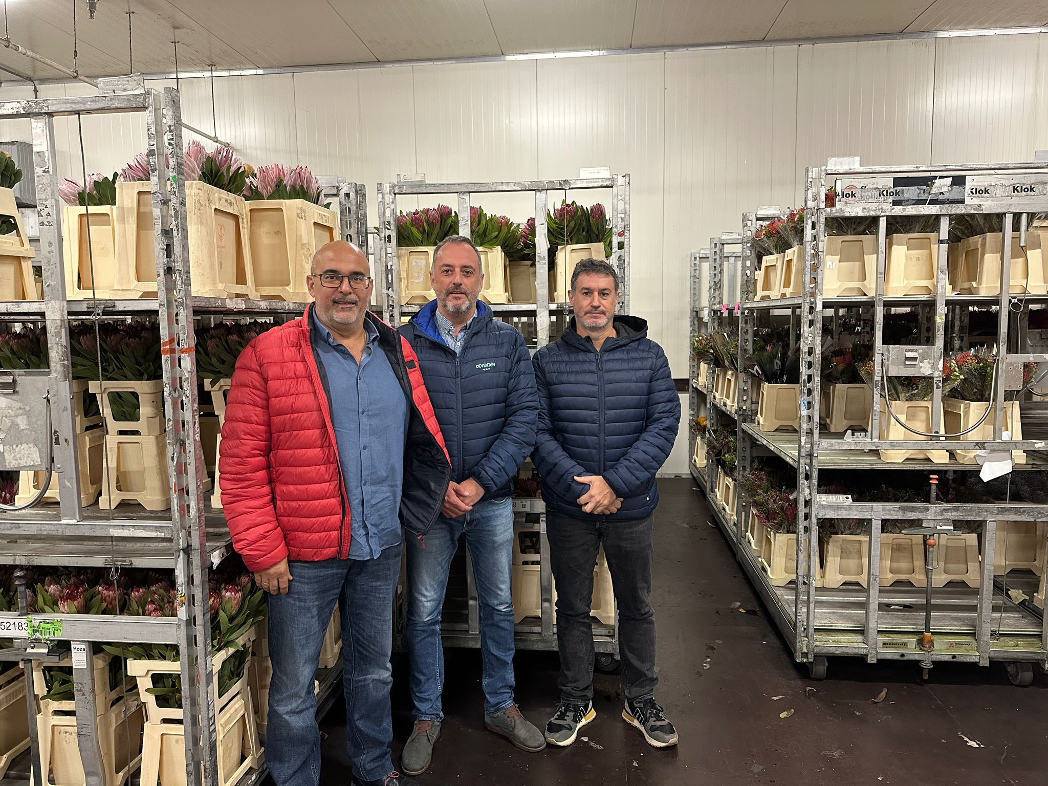 El Cabildo promociona el cultivo de las proteas en una importante feria internacional de Ámsterdam