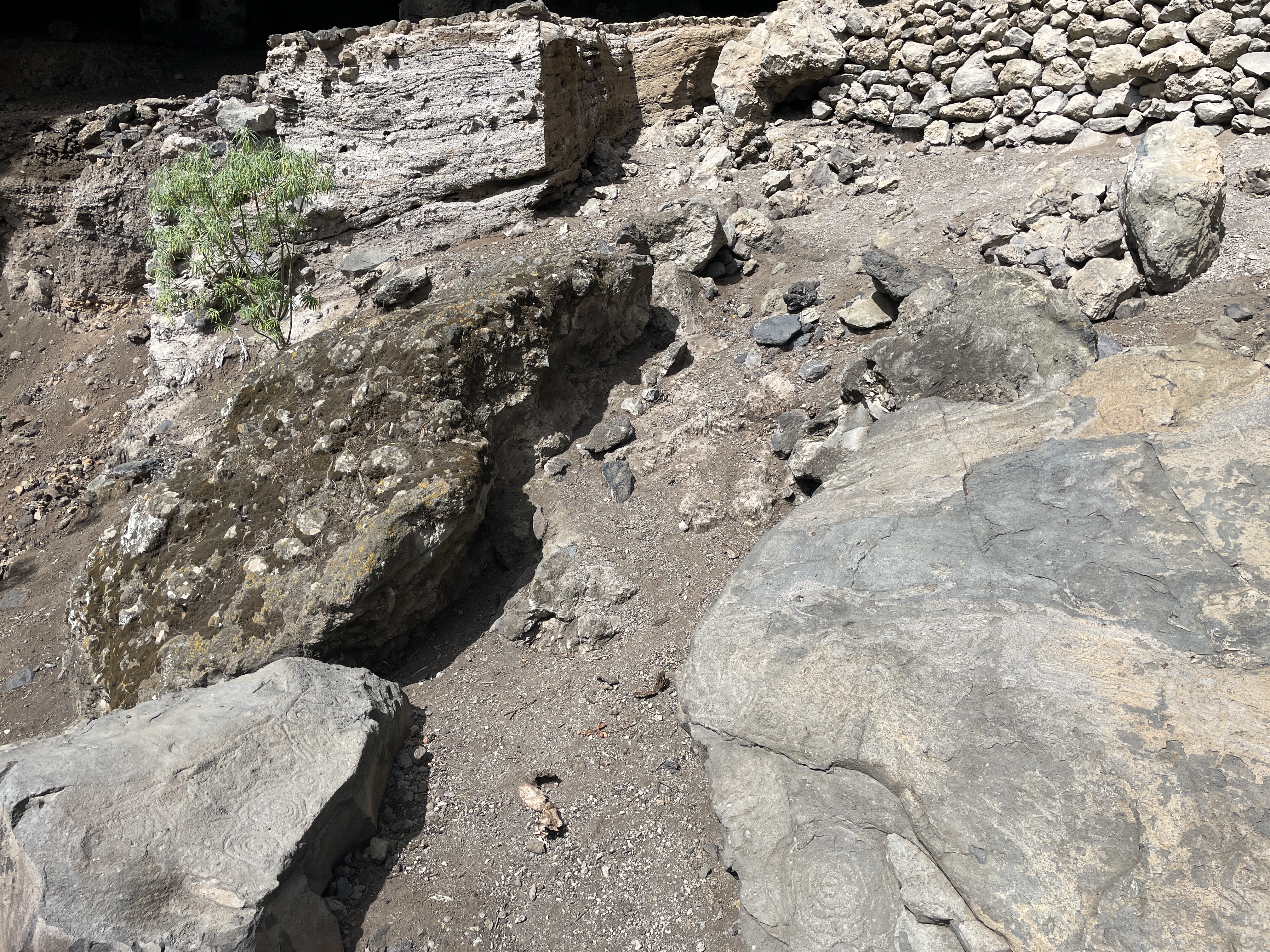 La Palma participa en las ‘Jornadas Canarias 2024: espacios para la arqueología y excavaciones arqueológicas’