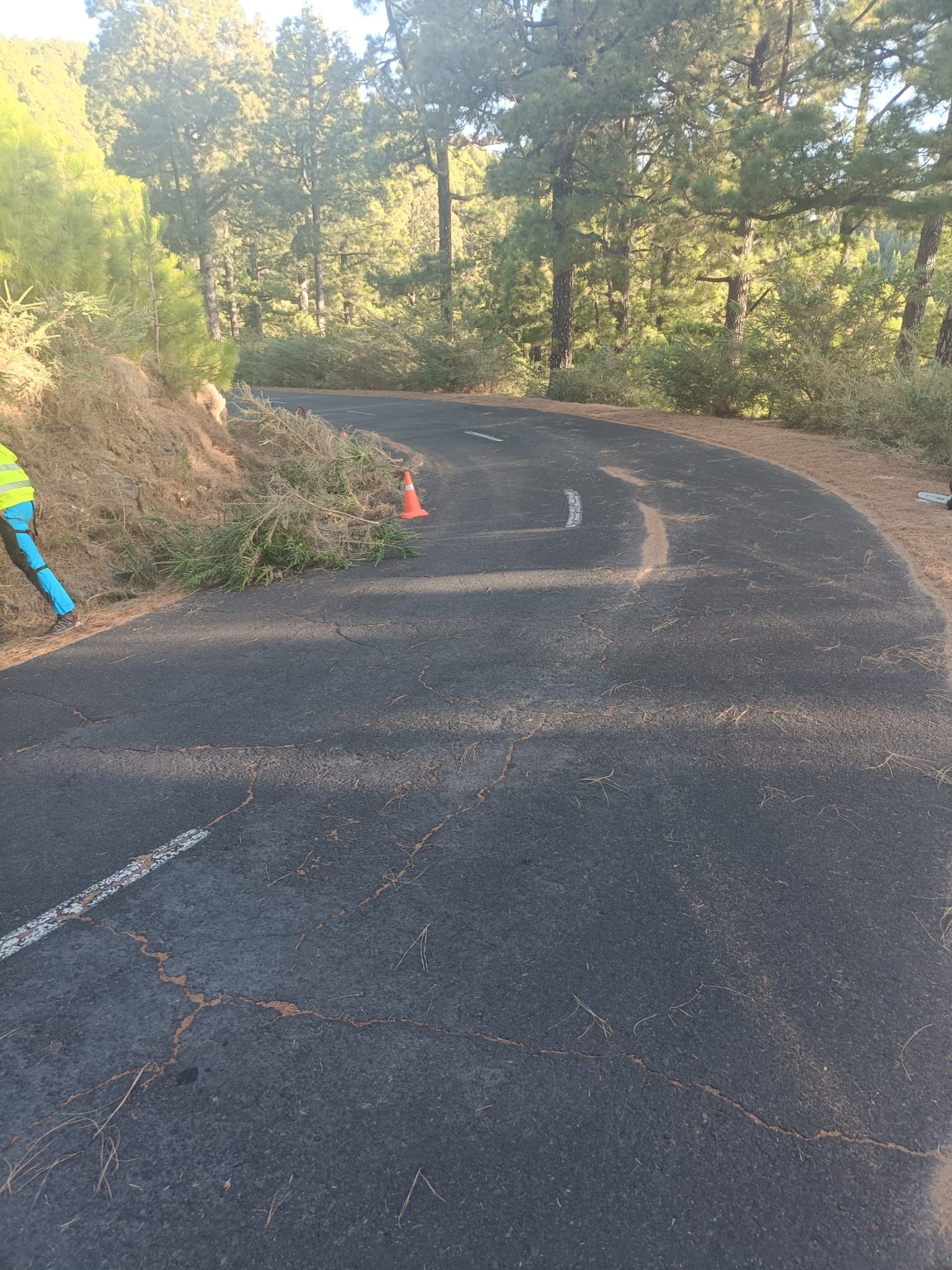 El Cabildo de La Palma prioriza la seguridad vial con la limpieza de las carreteras de la Isla