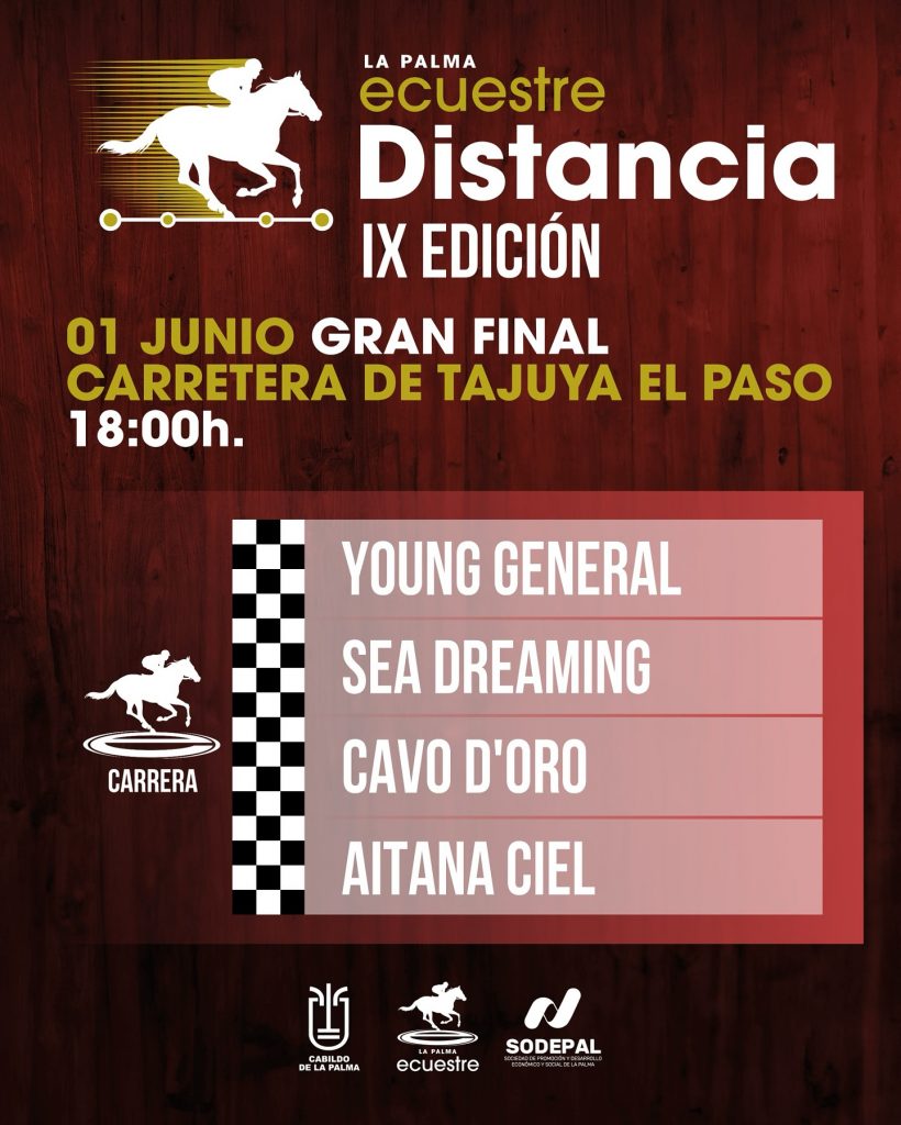 Cartel de La Palma Ecuestre