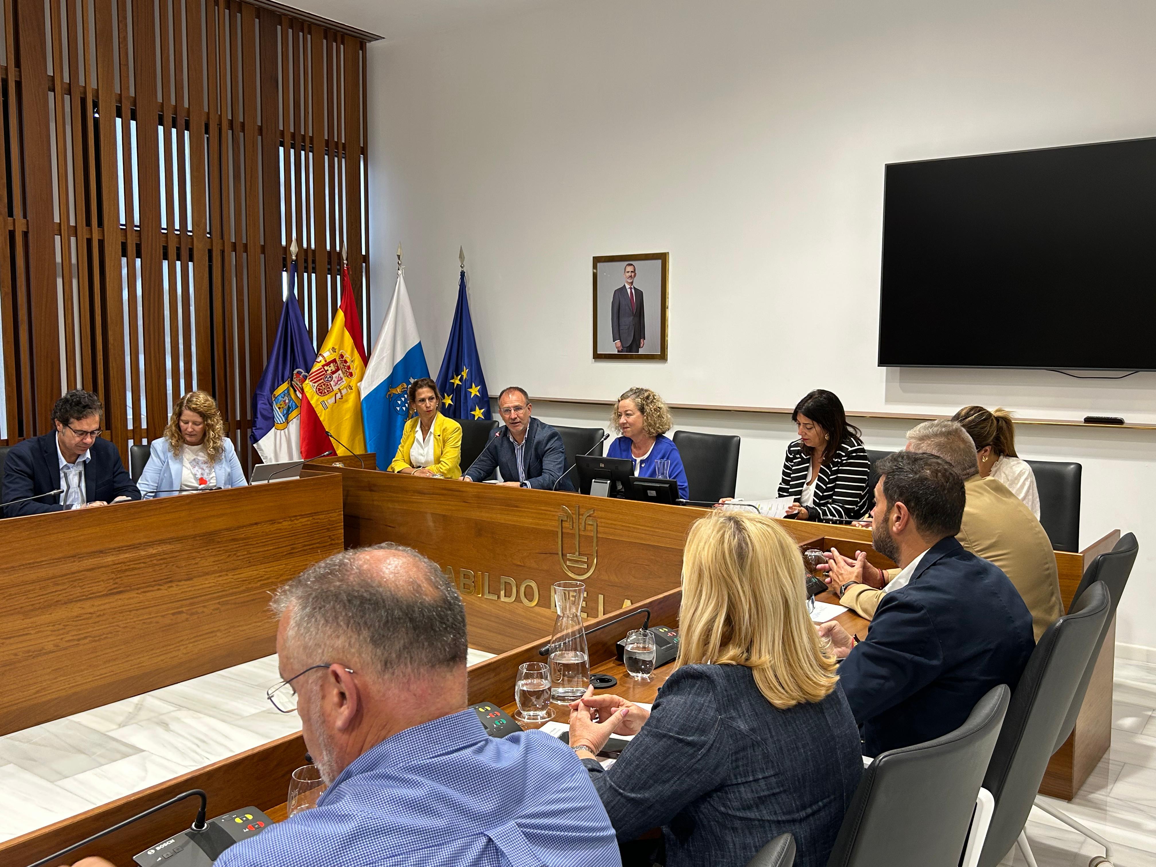 El Cabildo de La Palma y el Parlamento analizan las necesidades de la isla en la atención a la discapacidad