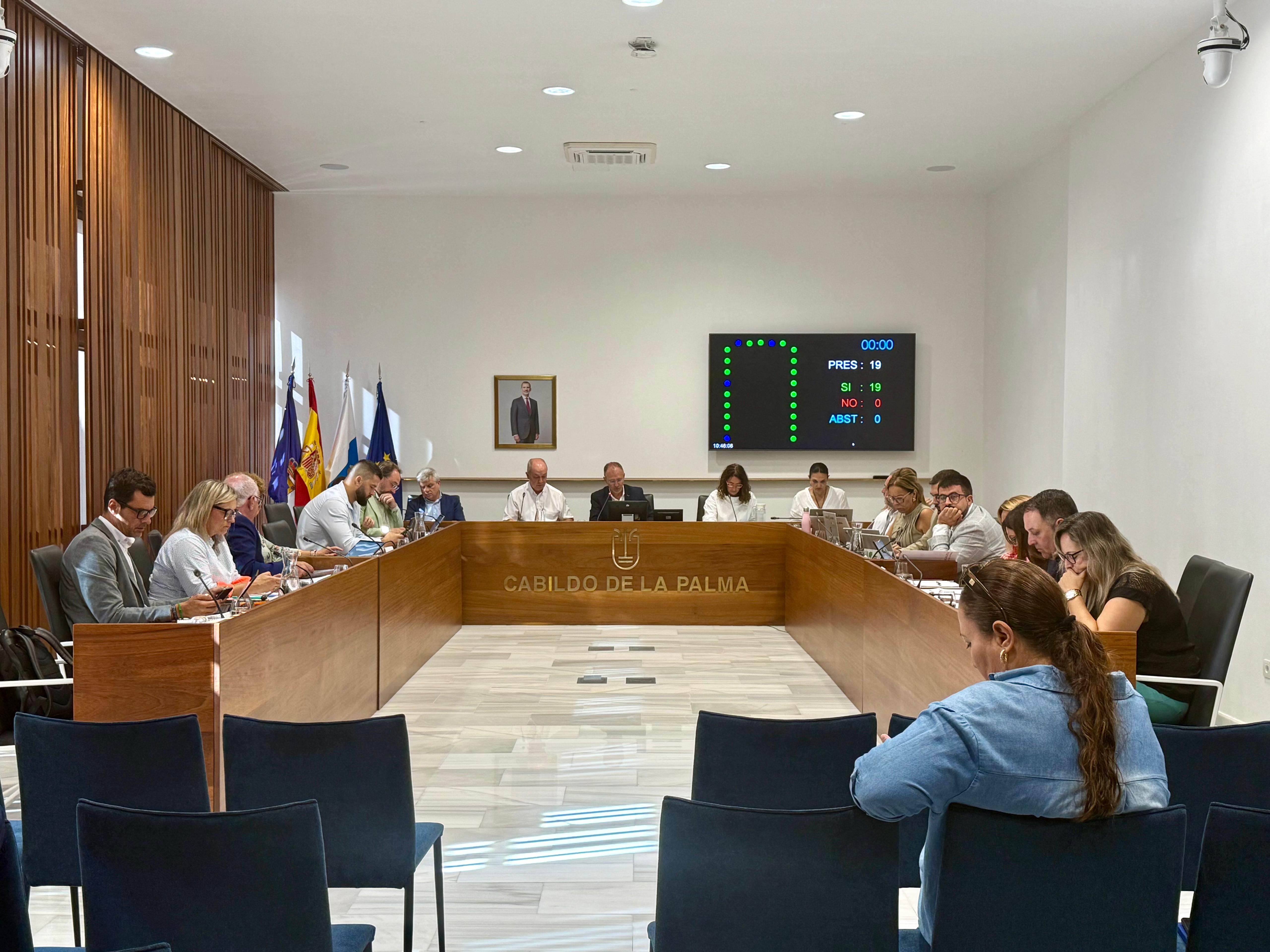 El Cabildo aprueba una moción en defensa de los derechos humanos en el conflicto bélico de Gaza