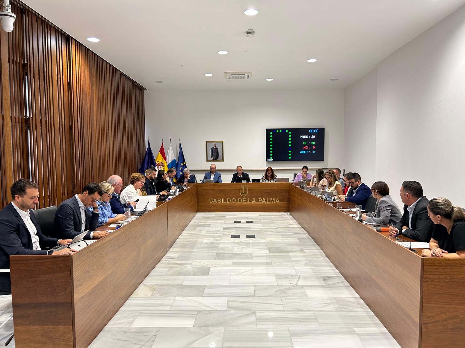 Aprobación de la moción de apoyo a pacientes afectados por COVID persistente.