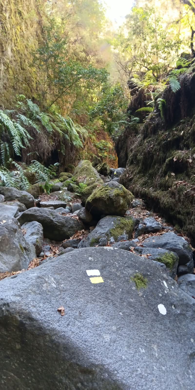 El Cabildo abre definitivamente el sendero de Marcos y Cordero
