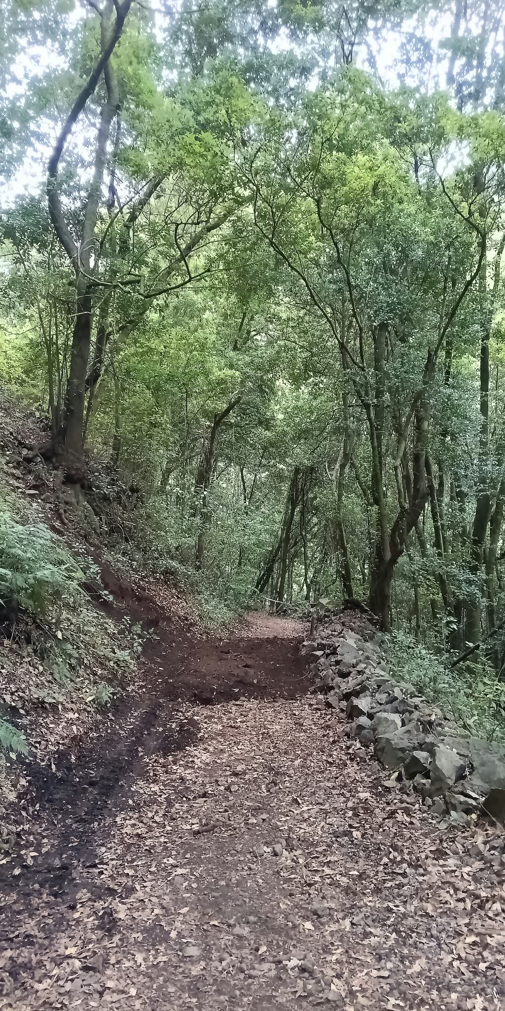 El Cabildo abre definitivamente el sendero de Marcos y Cordero