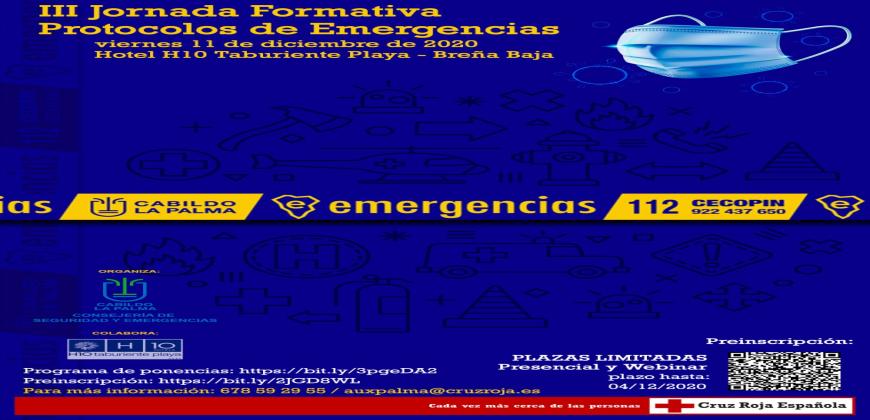 El Cabildo de La Palma analizará este viernes las consecuencias psicológicas del confinamiento
