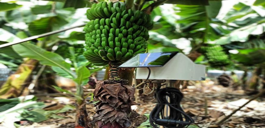 El Cabildo innova en agricultura 