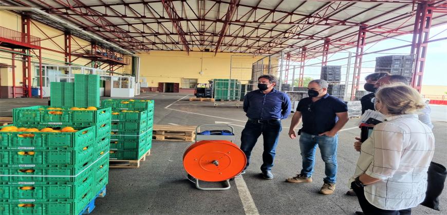 Comienzan las obras de reorganización de la Central Hortofrutícola