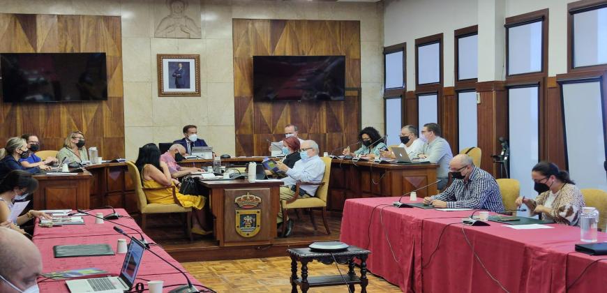 El Consejo Social de La Palma aprueba la estrategia del Cabildo para cumplir con la Agenda 2030 y los Objetivos de Desarrollo Sostenible