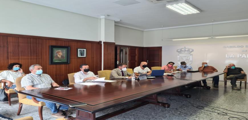 El Cabildo inicia el expediente para declarar BIC a las Fiestas Lustrales de la Bajada de la Virgen