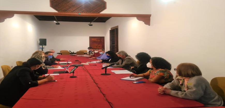 Nieves Rosa Arroyo presenta al Consejo Social el Plan de Participación Ciudadana del Cabildo de La Palma