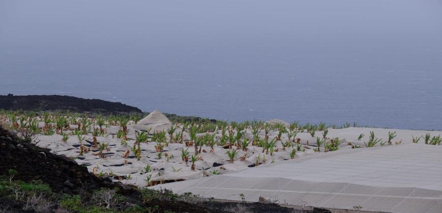 El Cabildo habilitará un servicio para la recogida de los escombros de los invernaderos afectados por el volcán