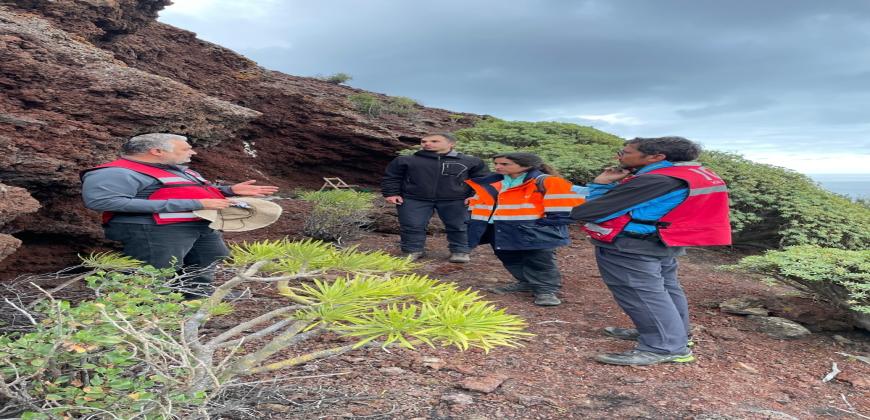 El Museo Arqueológico Benahoarita y profesionales de la vulcanología colaboran para estudiar la necrópolis de La Cucaracha