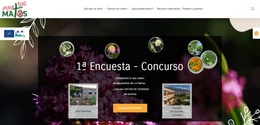 La Reserva de la Biosfera lanza una encuesta - concurso online sobre las plantas de La Palma