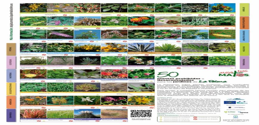 La Reserva de la Biosfera publica un póster con  50 plantas a evitar en los jardines de La Palma