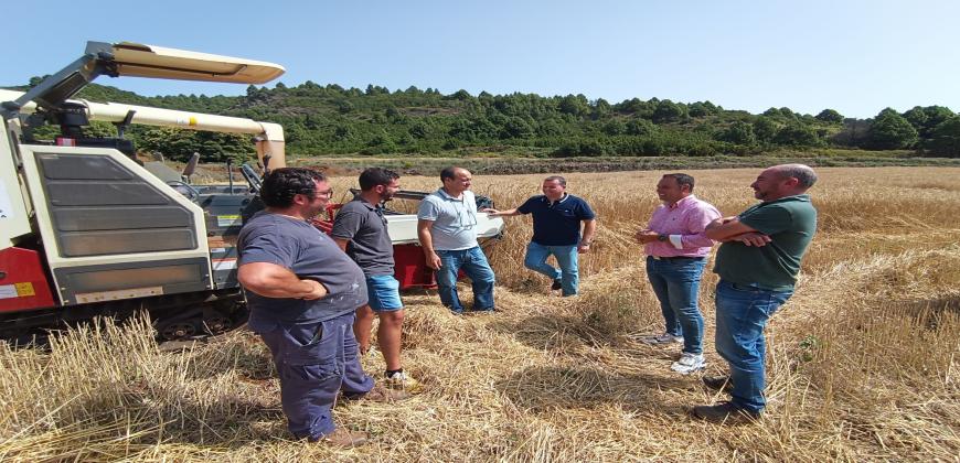 El Plan Forrajero de La Palma incrementa su actividad hasta las 17 hectáreas