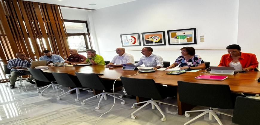 El Cabildo elimina las prohibiciones de recuperar fincas en los bordes de las coladas y trabaja en la ‘nueva’ LP-2 