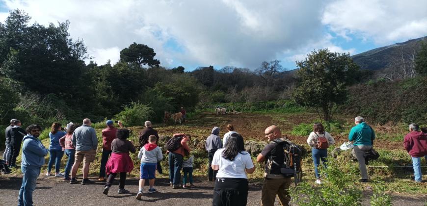 El Cabildo de La Palma retoma el proyecto ‘Contrigo, sembrando futuro’