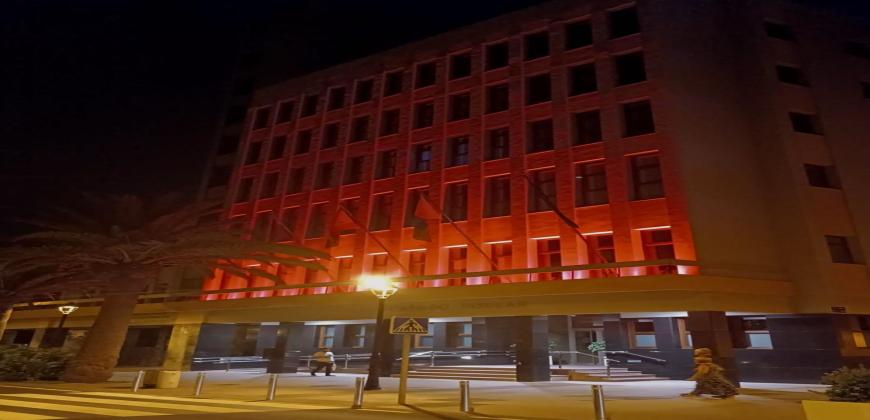 El Cabildo de La Palma se suma al Día Mundial de la Concienciación de Duchenne