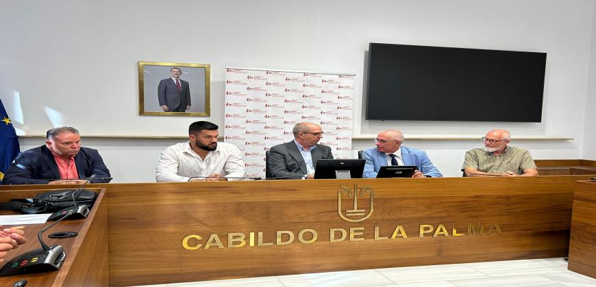 El Cabildo y la Fundación Laboral de la Construcción trabajan para dar respuesta al problema habitacional de La Palma 
