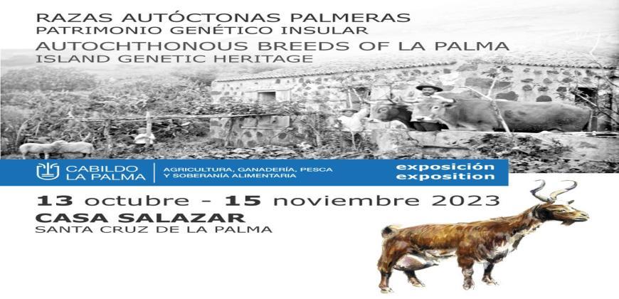 Exposición razas autóctonas palmeras
