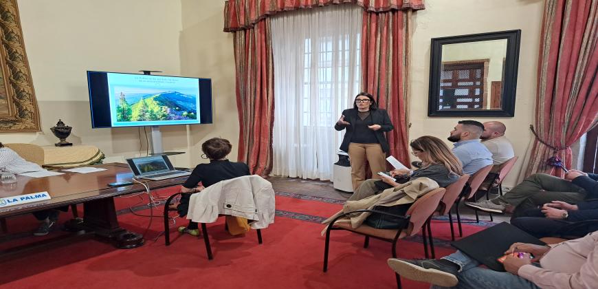 El Cabildo presenta su plan de acción turístico para 2024 al Consejo Sectorial del Área