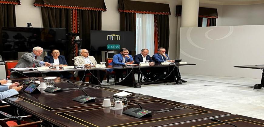 La Comisión de Cabildos respalda el proceso de reconstrucción territorial y social de La Palma