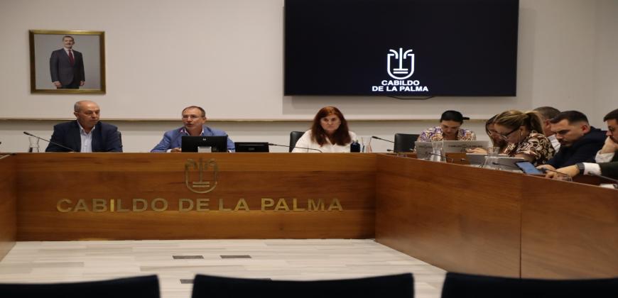 El Cabildo defiende un servicio óptimo y eficiente en la  atención domiciliaria a personas dependientes