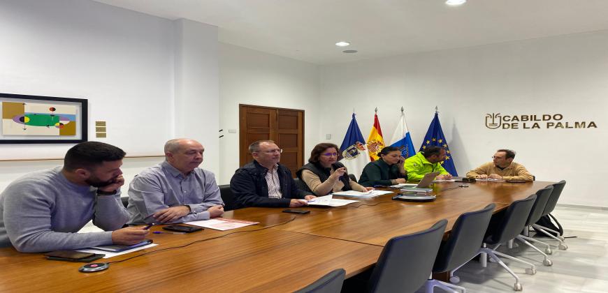 El Cabildo autoriza el acceso a 19 nuevas viviendas en Puerto Naos 