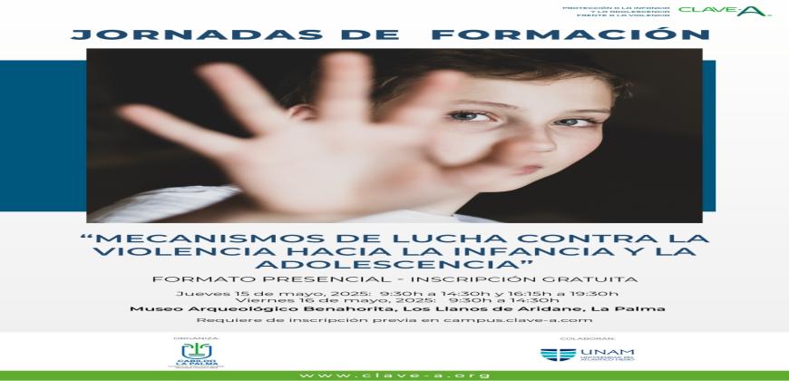 El Cabildo impulsa las unas jornadas formativas sobre mecanismos de lucha contra la violencia hacia la infancia y la adolescencia