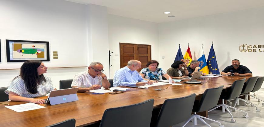 El Cabildo autoriza el acceso a nueve viviendas y dos locales más en Puerto Naos