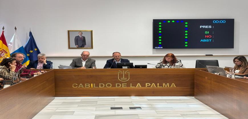 Pleno Extraordinario.