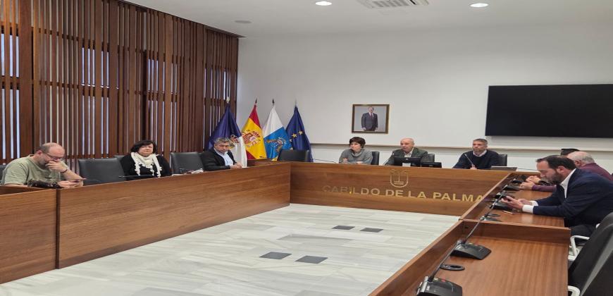 El Consejo Insular de Aguas aprueba el proyecto y el inicio de los trámites para encauzar y mejorar la seguridad en el Barranco Tenisca 