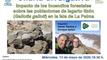 Organizamos una charla sobre el impacto de los incendios forestales en el lagarto tizón