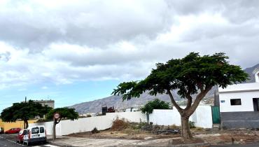 El Cabildo de La Palma inicia la licitación de la nueva Residencia de Mayores y Centro de Día en Los Llanos de Aridane por más de 31 millones de euros